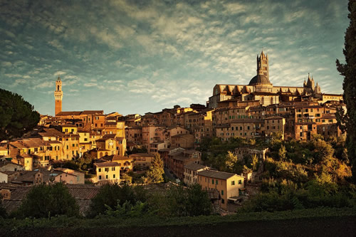 Noleggio auto Cerimonia Firenze