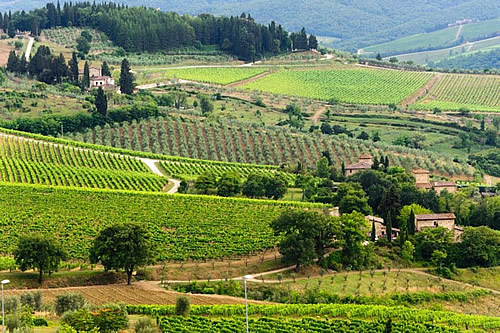 Noleggio auto Cerimonia Firenze